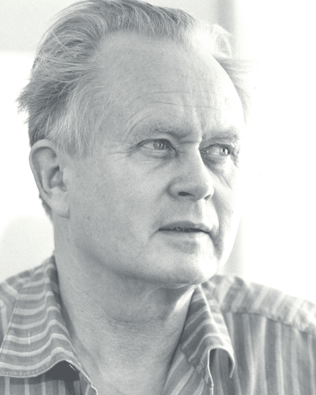Piet Hein